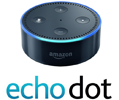 Amazon Echo Dot html5 Logo